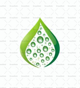 Tautropfen auf einem Blatt